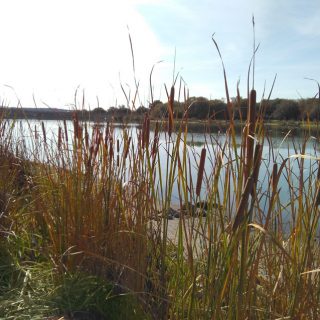 Paisaje del embalse de Los Arroyos