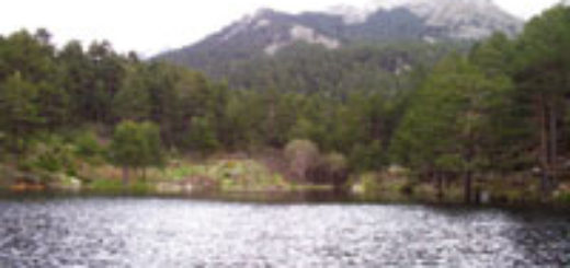 Senda de Los Almorchones