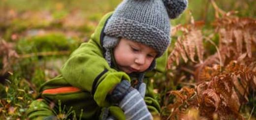 Niño en el campo