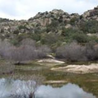 La charca de Torrelodones