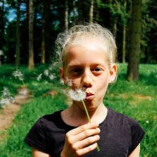 Los niveles de polen afectan a la salud de los alérgicos