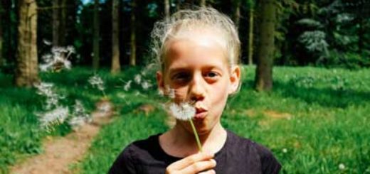 Los niveles de polen afectan a la salud de los alérgicos