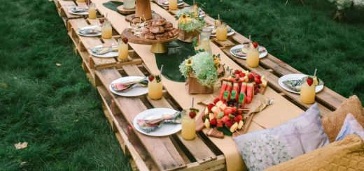 Comidas en la naturaleza, pícnic en el campo