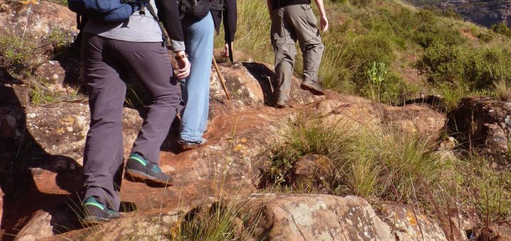 Excursiones por el campo