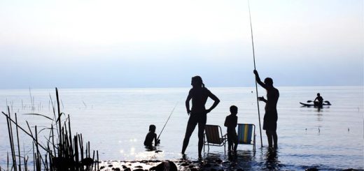 Práctica de la pesca en un pantano